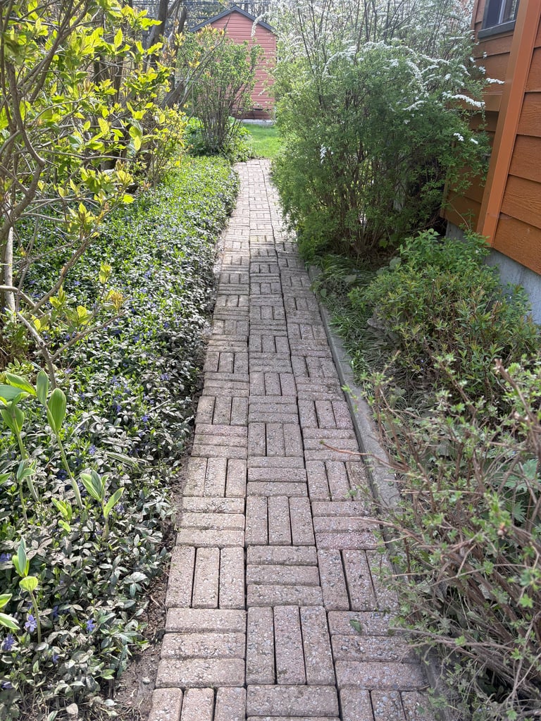 Narrow brick pathway lined with green shrubs and bushes leading toward a house with red brick wall in background