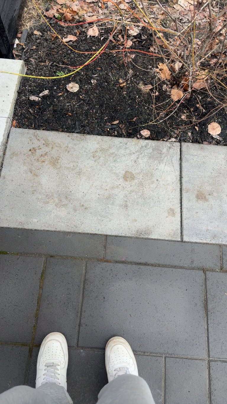 Personne en souliers blancs debout sur une surface pavée à côté d'un parterre surélevé avec terre noire et feuilles tombées