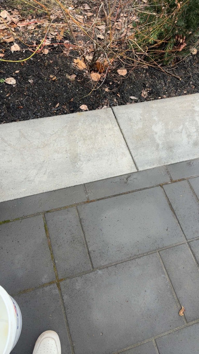 Vue aérienne d'un patio de béton transitionnant vers un parterre de paillis avec feuilles et brindilles éparpillées